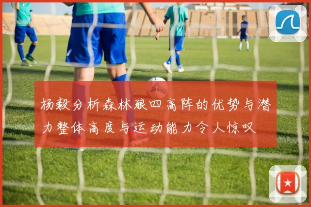杨毅分析森林狼四高阵的优势与潜力整体高度与运动能力令人惊叹