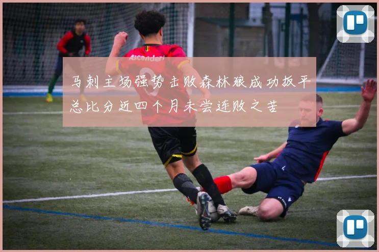 马刺主场强势击败森林狼成功扳平总比分近四个月未尝连败之苦